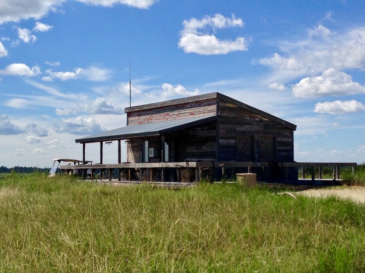 3FB8C0DC-B3A8-4D79-943C-48F7F12FBAA0