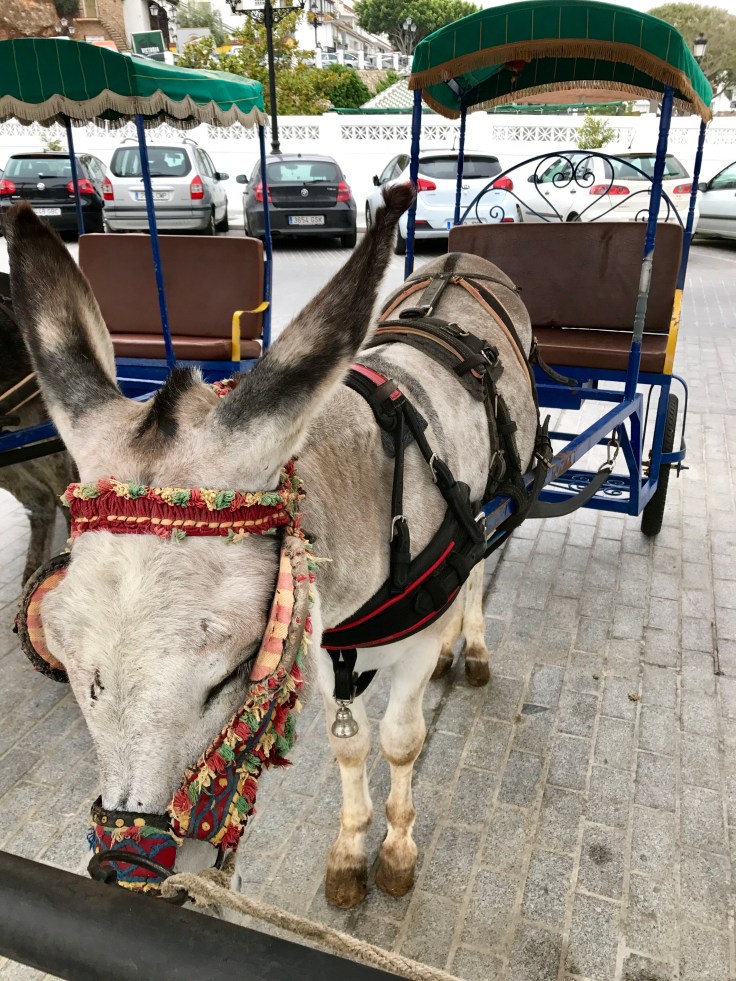 A1B9484B-29AA-4ED0-9E48-8F6F9844252A