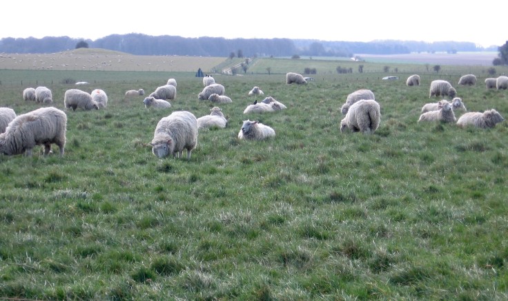 A25F031B-5121-47D4-9610-F1F49A6FD79A