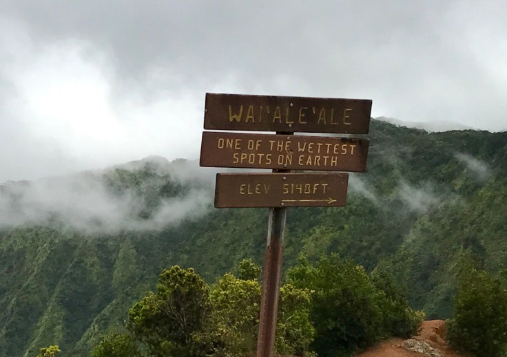 F342E8D3-06E4-429E-815B-56C913FA15BD