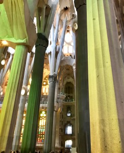 2311AC3A-7BD7-46C3-9F72-3B229DD036FF