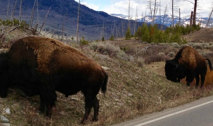 5C06E629-4F2C-496E-9894-25640B3D134A