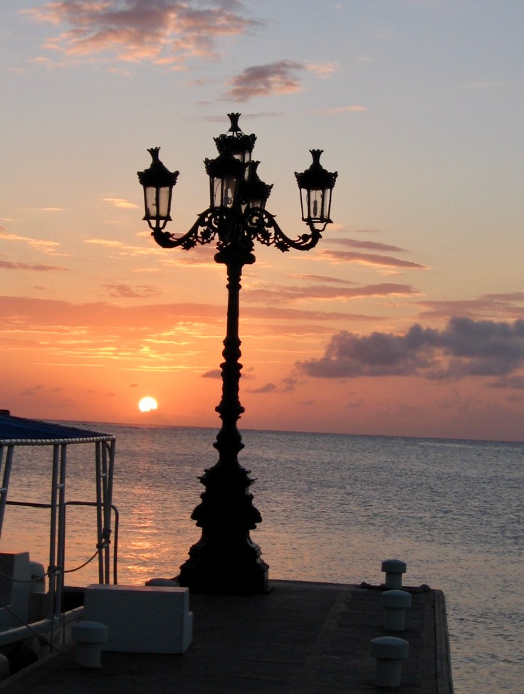 EA8DB1C5-B7C5-4EC0-A06B-CFBFFE277733