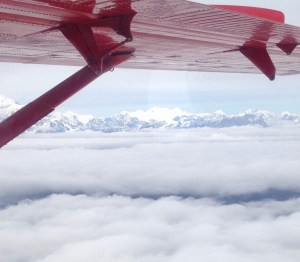 9E59352C-6894-4FFC-823B-4ECD61B84446