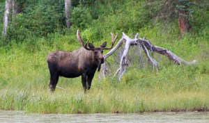 D0B0FAE2-4D6D-459E-ABA5-FD69700C371E