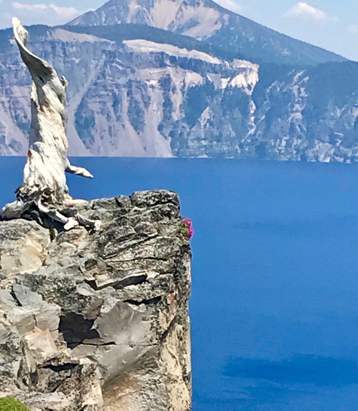 ED3AA0A1-9F43-4679-A95A-D7D9B47B2E1A