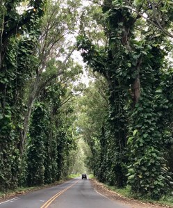 8bc5187f-fe7c-404e-a265-baa7e09ef8cc