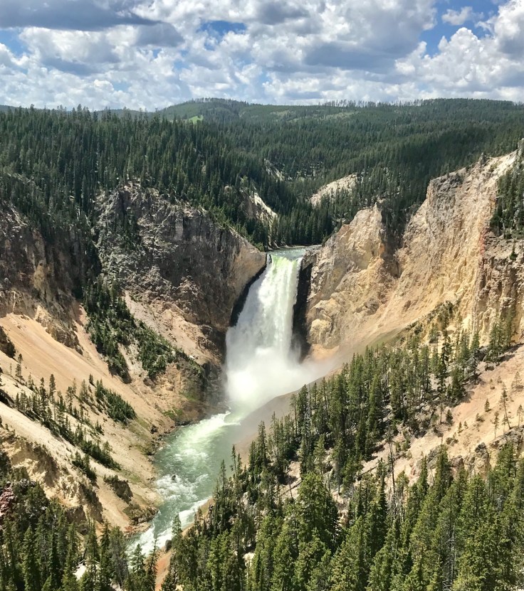 CFF76F34-6E05-42A1-B217-57944C630E4C