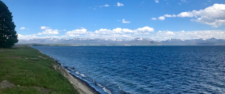 195EDA4E-13C8-4EC0-A30D-64917294D6DF