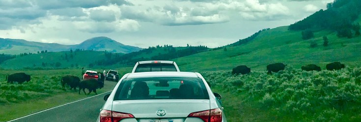 DE4009A8-A229-4168-82B6-6D7C7B1153AF