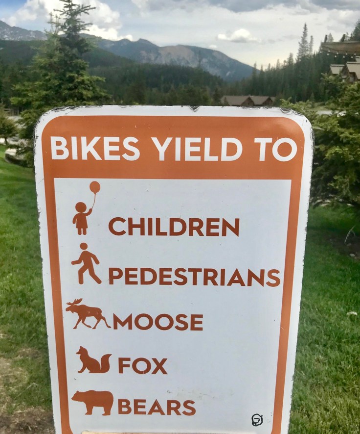 A6ED5AAB-6C91-4F6B-BDD2-2CA309B3BF33