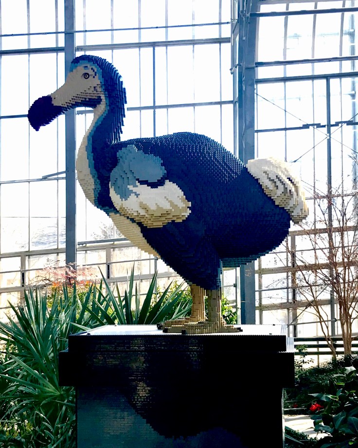 379F4363-869E-4A66-8798-410CFD62F287