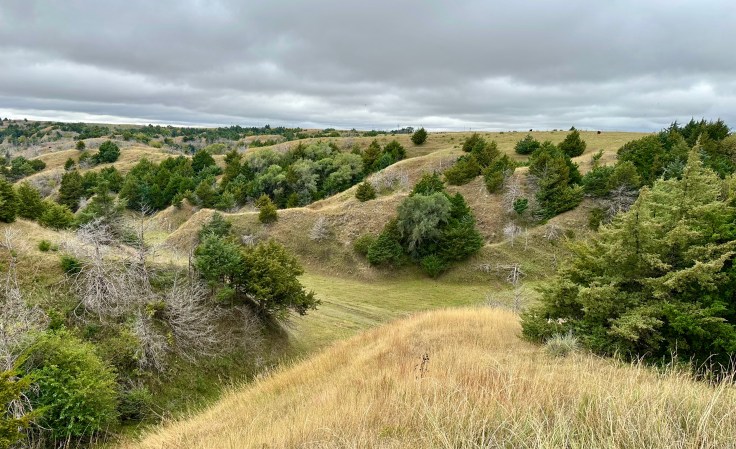 Real property in rem? (Photo by Marilyn Swanson)